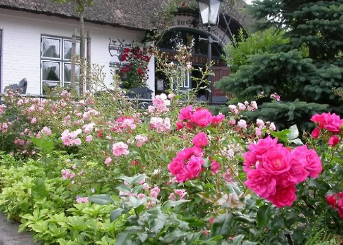 Historischer Krug 4*